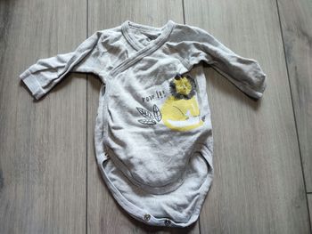 Bodies lion 1 mois grain de blé