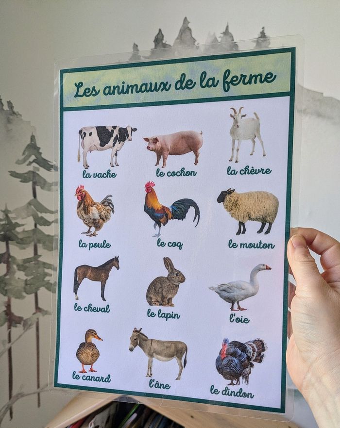 Illustration des animaux de la ferme en photos, pour enfant