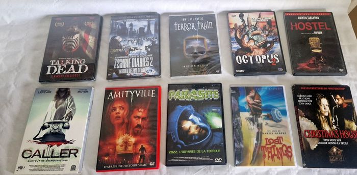 Lot de 10 dvd film horreur