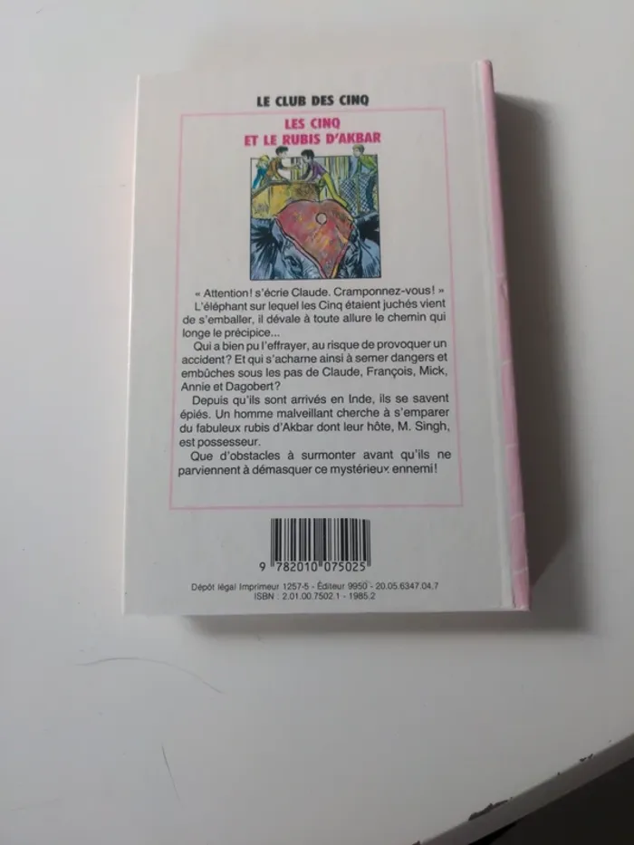 Les cinq et le rubis d'Akbar - photo numéro 2