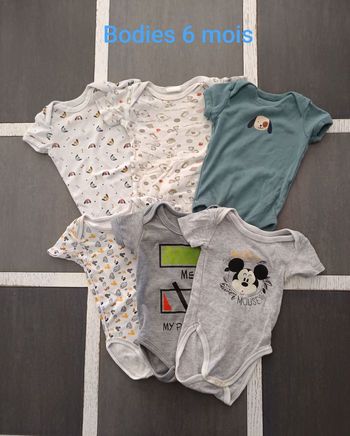 Lot de 6 bodies 6 mois