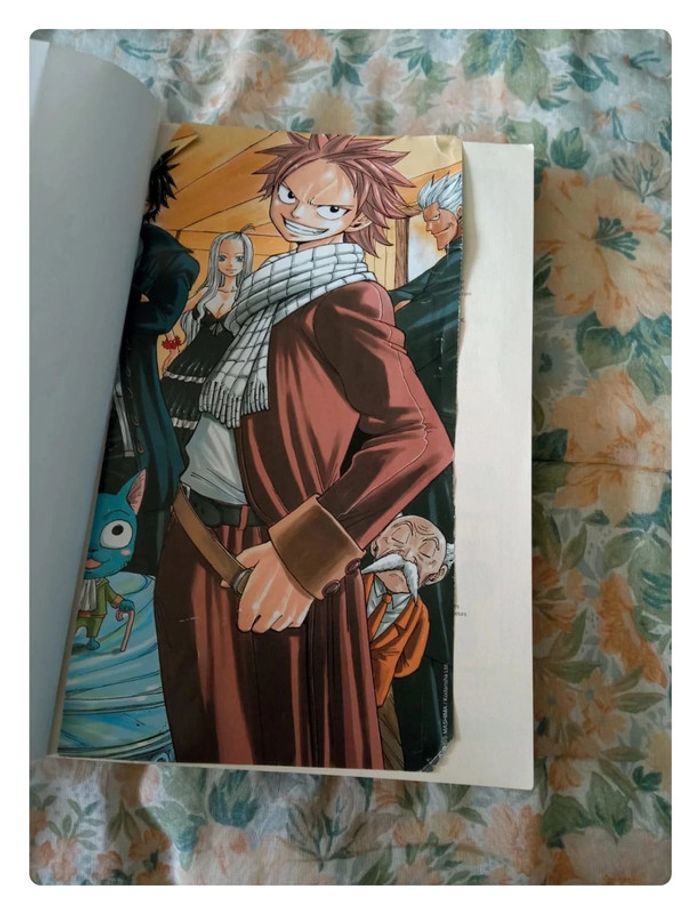 Mangas fairy taille l'intégrale tome 5 - photo numéro 7