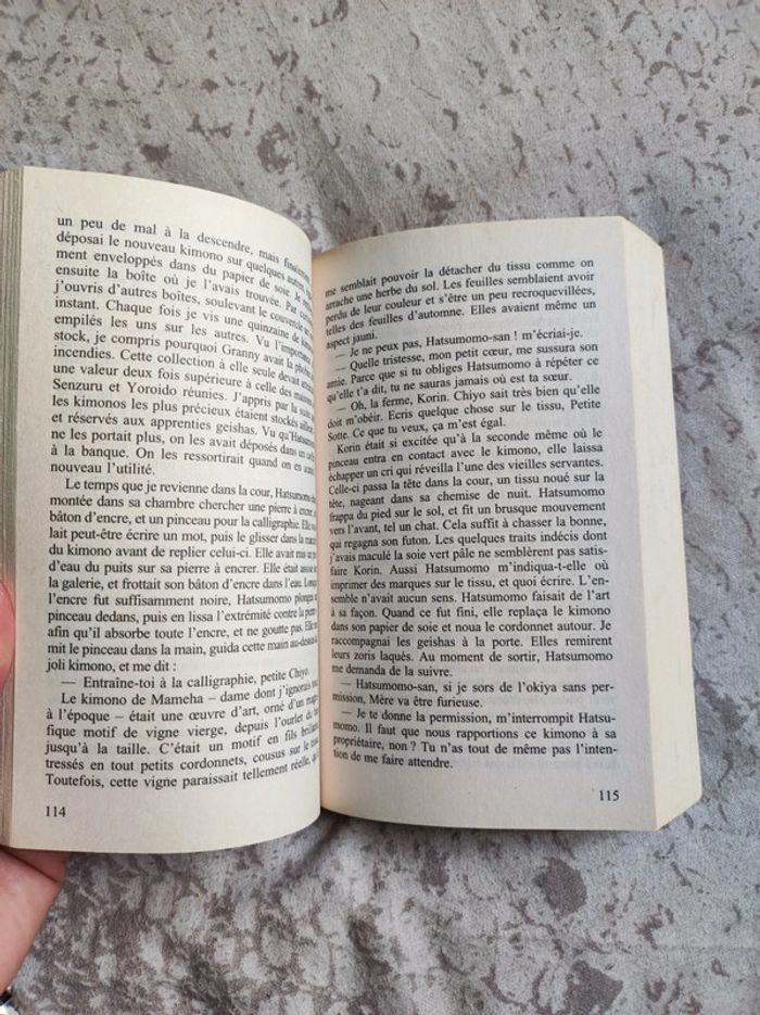 Geisha - photo numéro 3