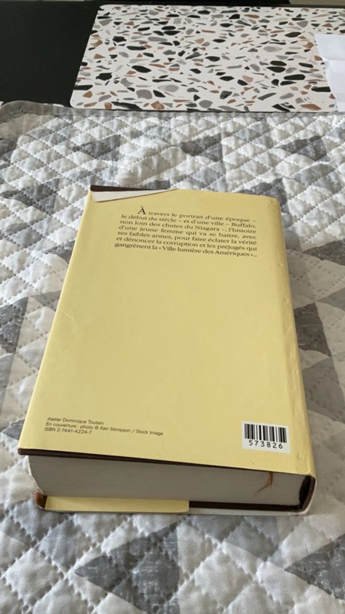 # les lumières de l’aube Lauren Belfer - photo numéro 3