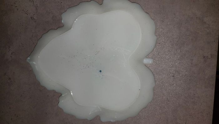 Grand plateau - photo numéro 3