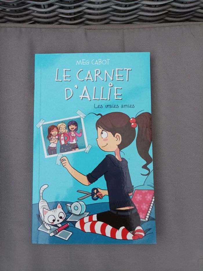 Livre " Le carnet d Allie : les vraies amies" neuf - photo numéro 1