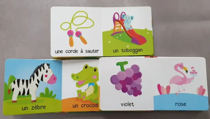 Lot livres ma petite bibliothèque - photo numéro 2