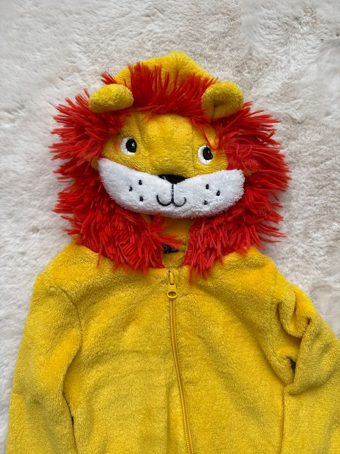 Combinaison lion