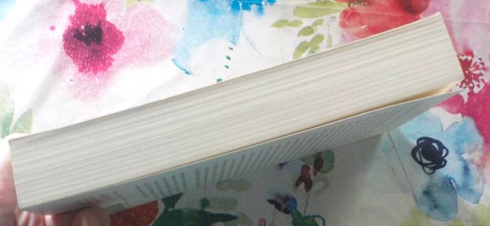 Et maintenant il ne faut plus pleurer de Linn Ullmann Ed. Actes Sud - photo numéro 5