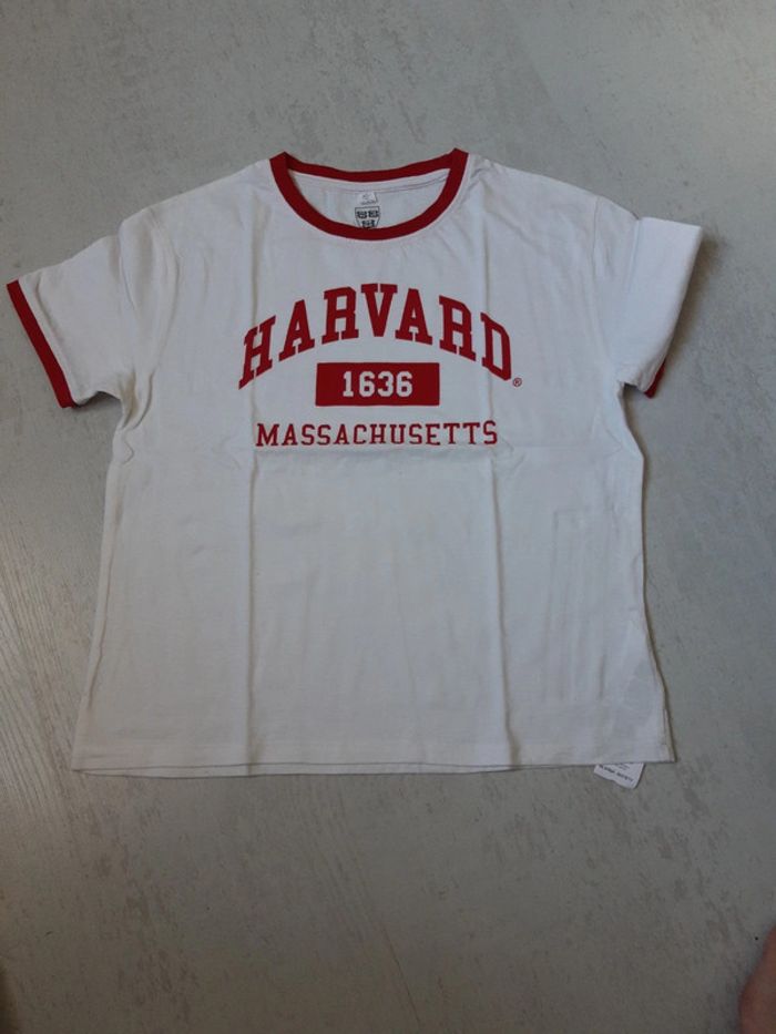 Tee shirt Harvard Xs