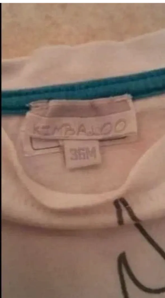 Lot de 2 tee-shirts garçon - photo numéro 2