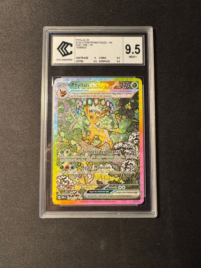 Phylali Ex Alternative CCC 9.5