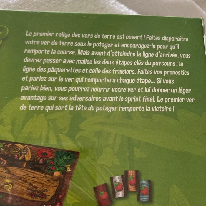 Jeu gigamic le rallye des vers de terre - photo numéro 3
