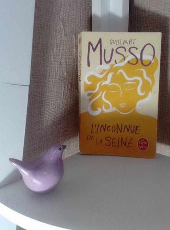 L'inconnue de la Seine de Guillaume Musso