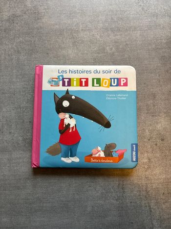 Livre les histoires du soir de p’tit loup