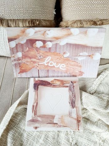 Lot de 2 toiles Centrakor