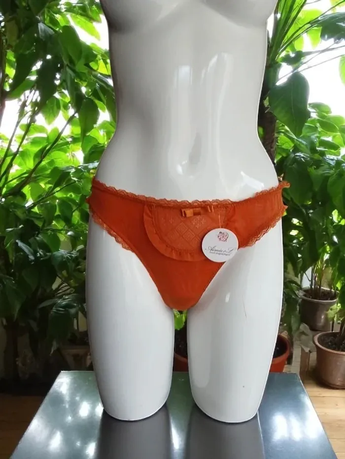String Aimée L. 40