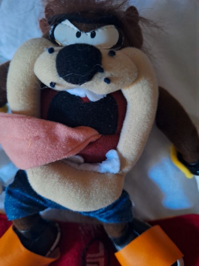 Taz sur son skate board - photo numéro 8