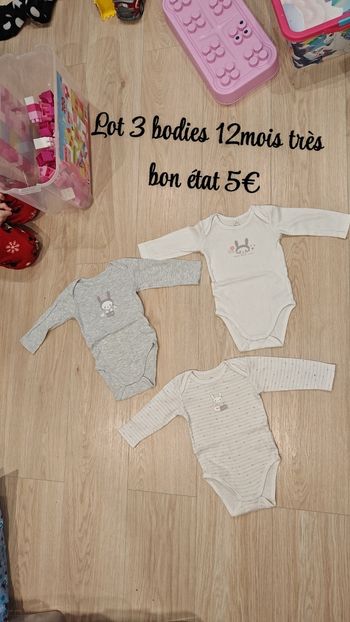 3 bodies 12mois 