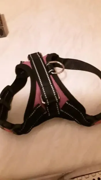 Harnais réglable pour chien taille s 