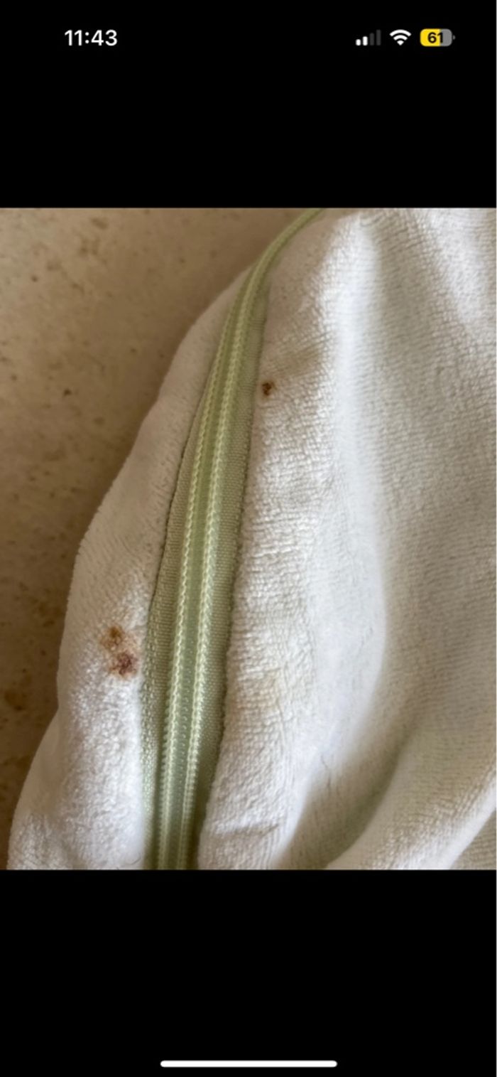 Gigoteuse - photo numéro 5