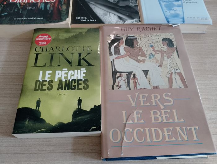 Lot de 5 livres, romans,(27)(Charlotte Link ect.) - photo numéro 3