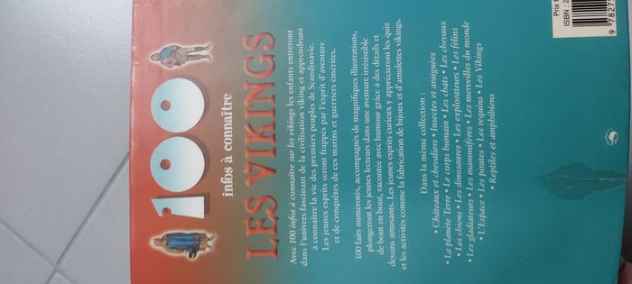 100 infos à connaître Les Vikings - photo numéro 4