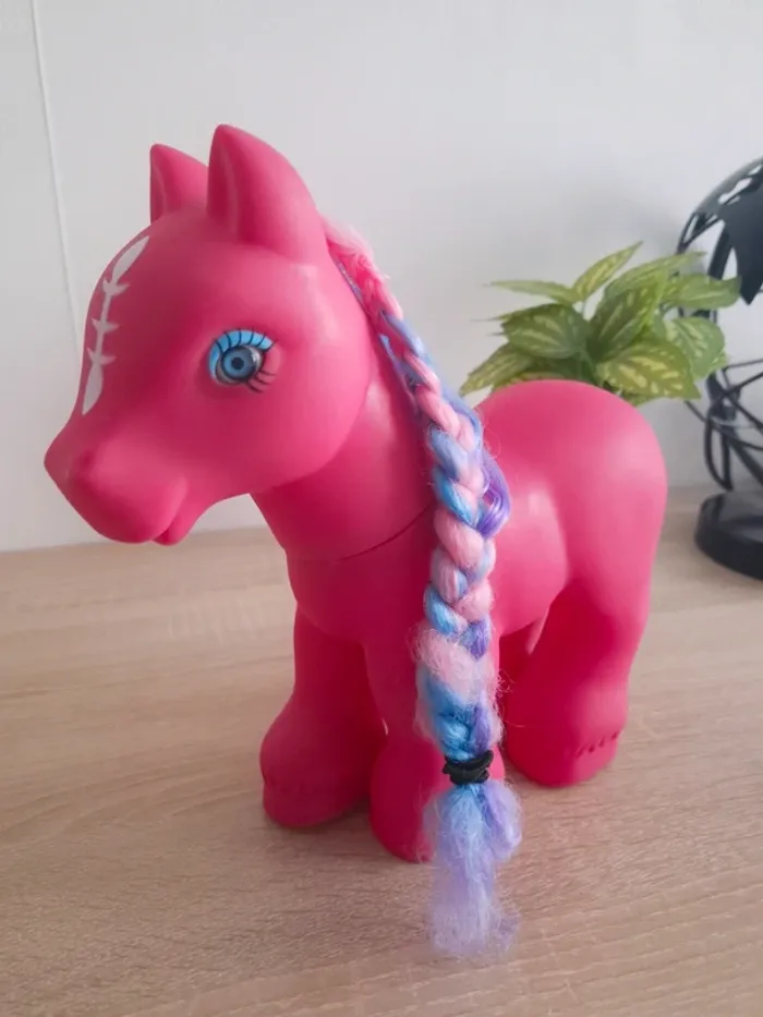 Grand Poney - photo numéro 3