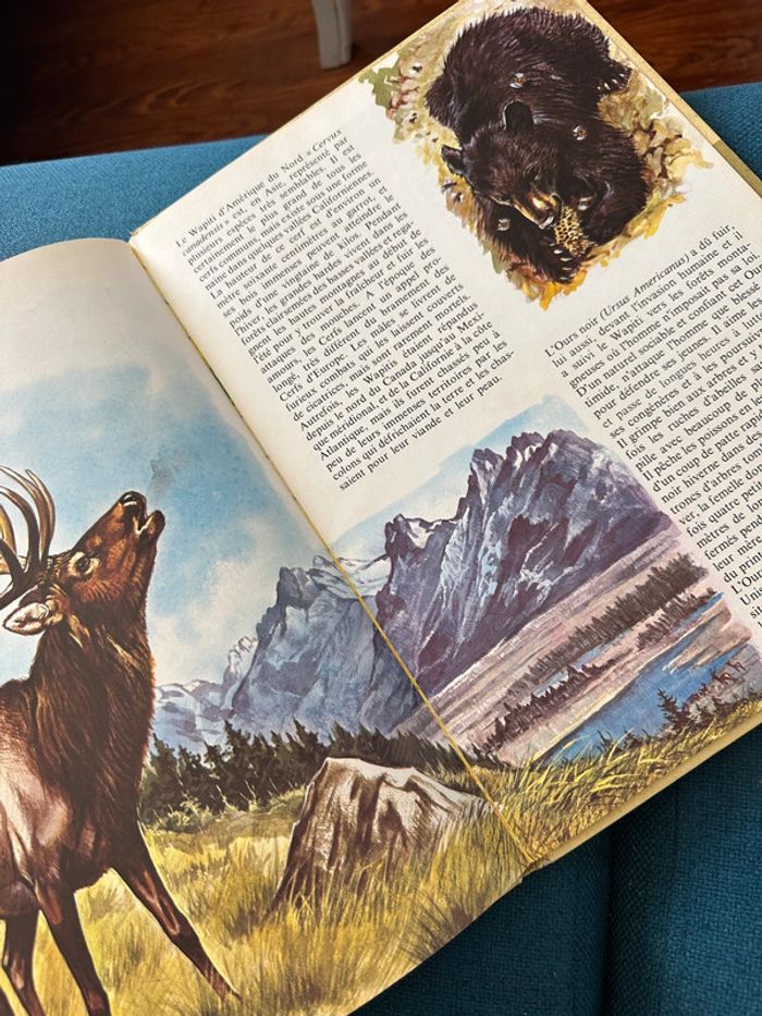 Livre encyclopédie rare Faune des Montagnes du Monde collection univers Robert Dallet Lito Paris - photo numéro 7