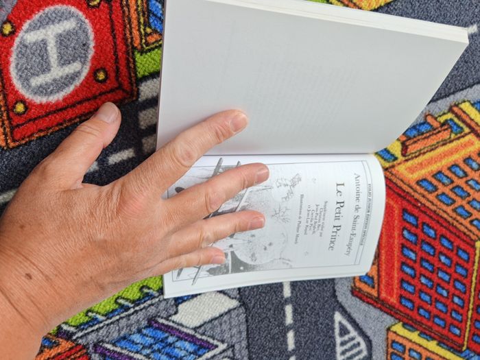 Livre les vacances du petit Nicolas - photo numéro 5