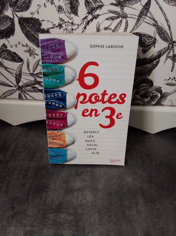 Livre 6 potes en 3e