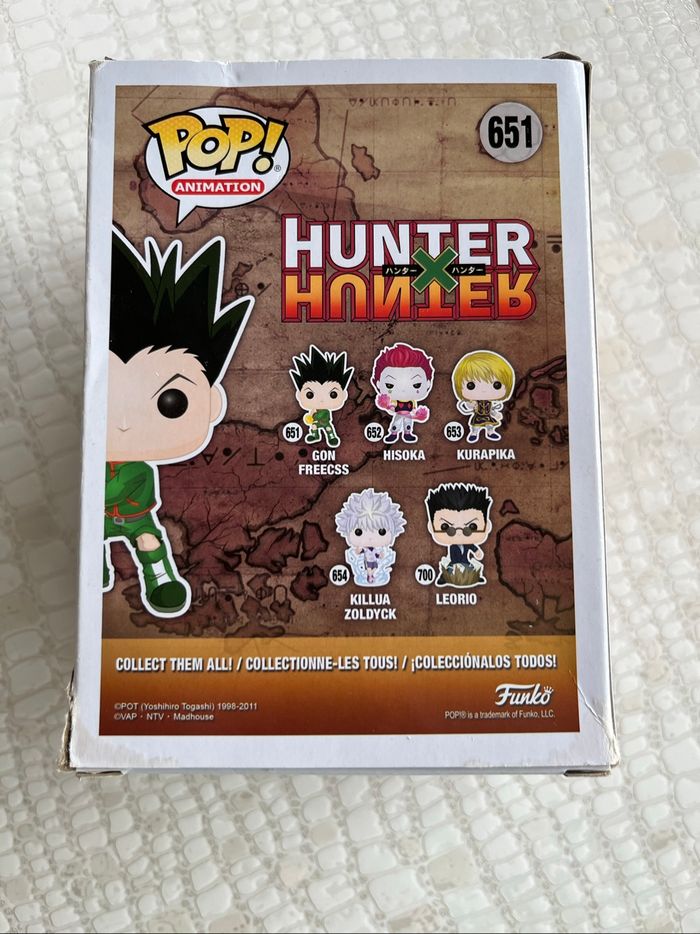 Pop gon freecss - photo numéro 2