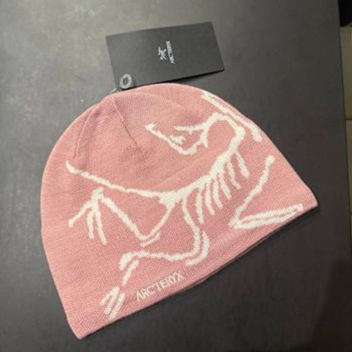 Bonnet Arc’Teryx - Bird Head Toque