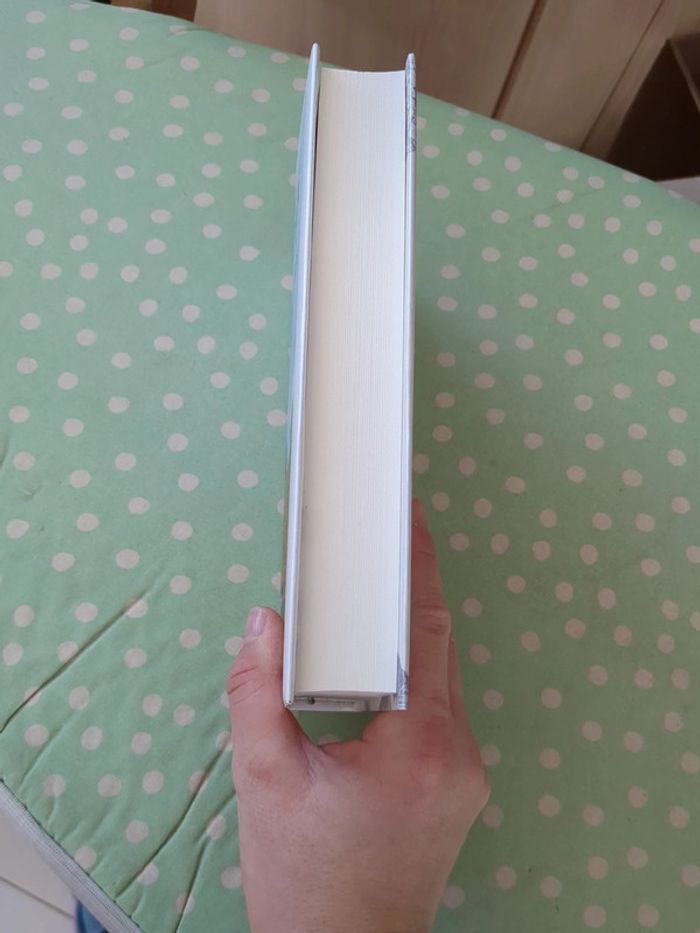 Livre de Marie Bernadette Dupuis L'orpheline du bois du loup - photo numéro 3