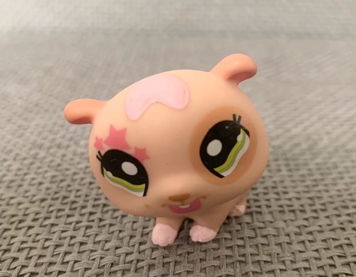 Petshop Cochon d’Inde - 2€ l’unité - photo numéro 10