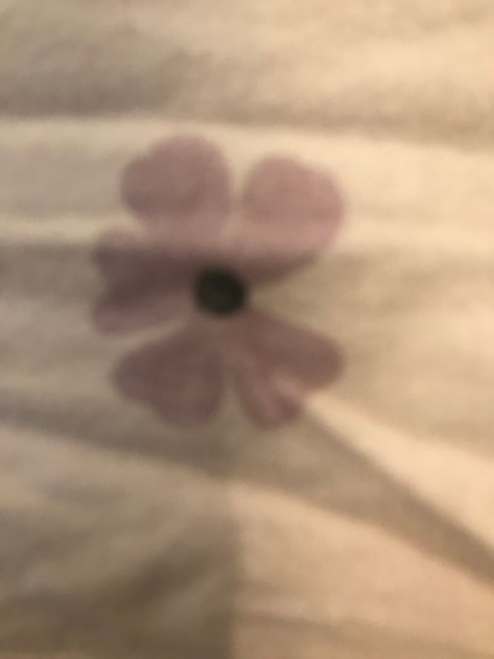 Trait oreiller - photo numéro 7