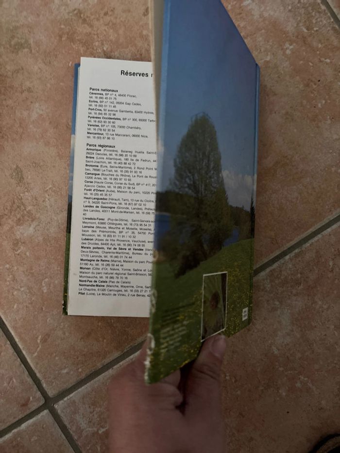 Livre encyclopédie de la nature pour les jeunes - photo numéro 5