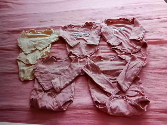 Lot de 24 bodys - photo numéro 4