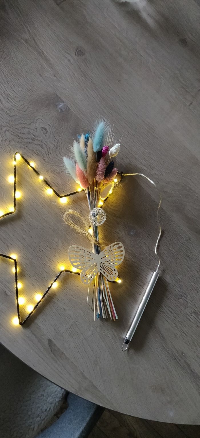 Étoile lumineuse - photo numéro 4