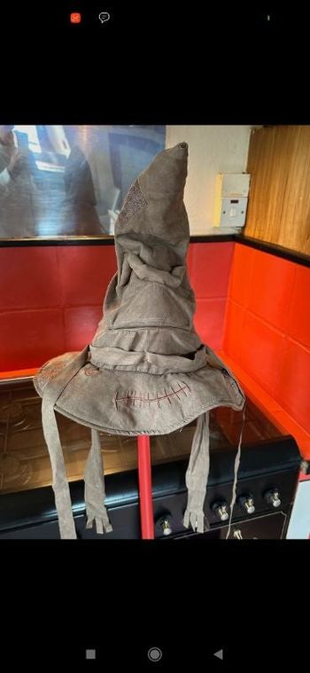 Chapeau Harry Potter