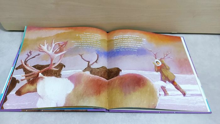 📚 Livre : Nouk qui s'envola - photo numéro 5