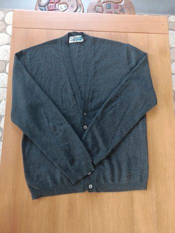 Gilet gris triomph
