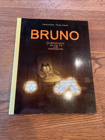 Livre L’école des Max Bruno Quelques jours de ma vie très intéressante