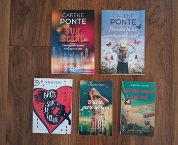 Lot 4 romans de Carène Ponte