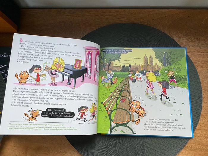 Micmac à New York - photo numéro 7