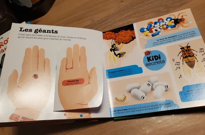 Livre Kididoc les insectes tome 47 - photo numéro 2