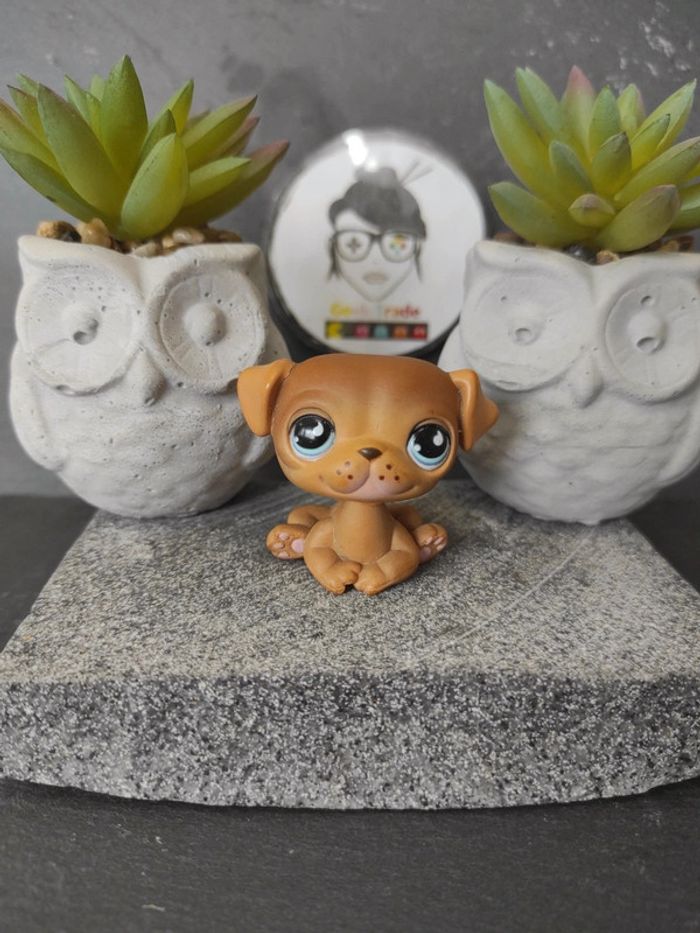 My Littlest Petshop  Pet Shop LPS dog chien carlin 786 / 901 #geektradelpschien