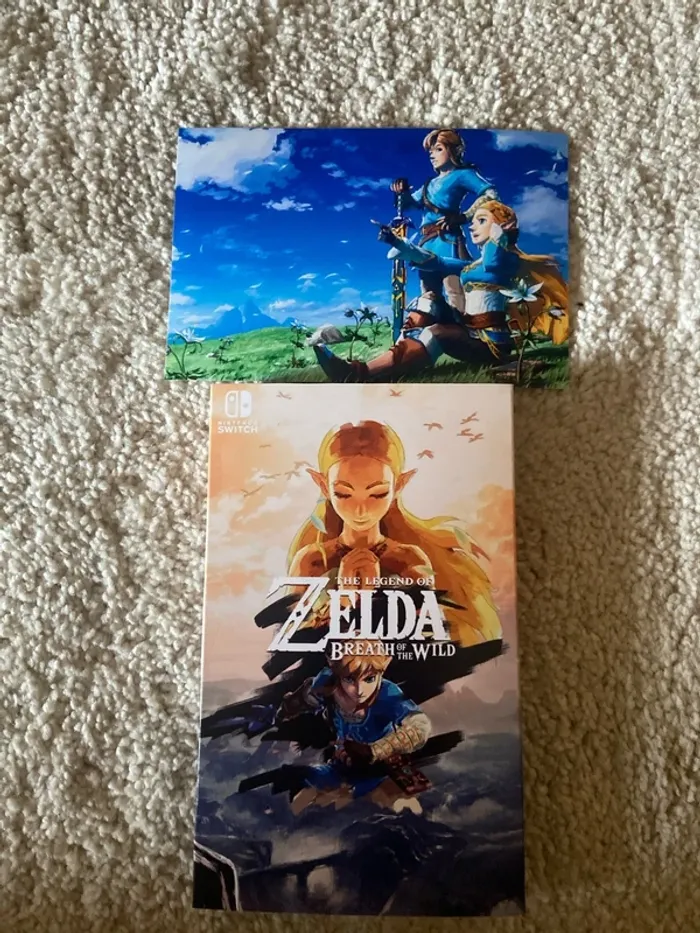Protection en carton de Zelda breath of the wild switch