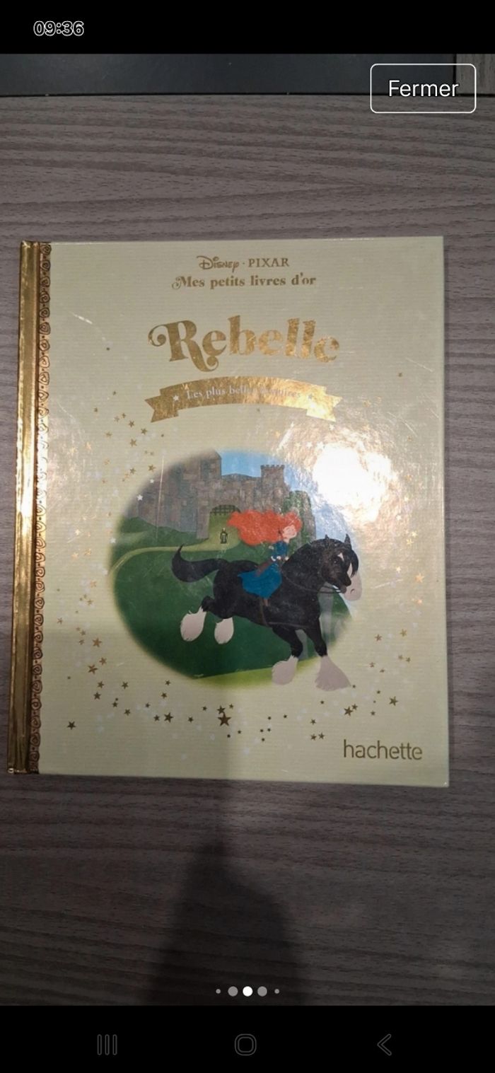 Lot  10 livres mes petits livres d'or - photo numéro 6