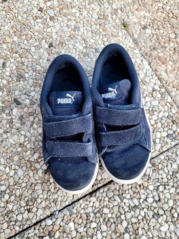 Basket puma